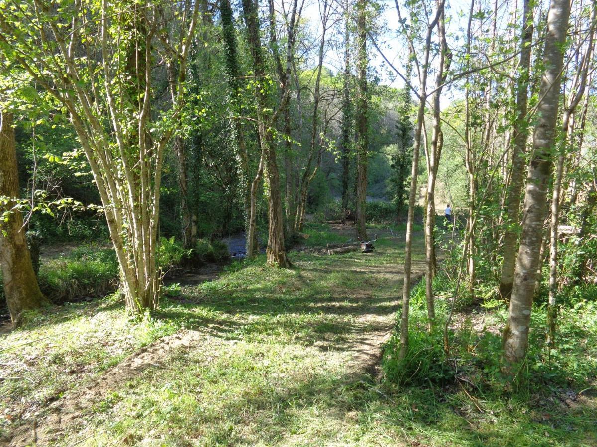 Domaine Le Mayne Chabrignac Esterno foto