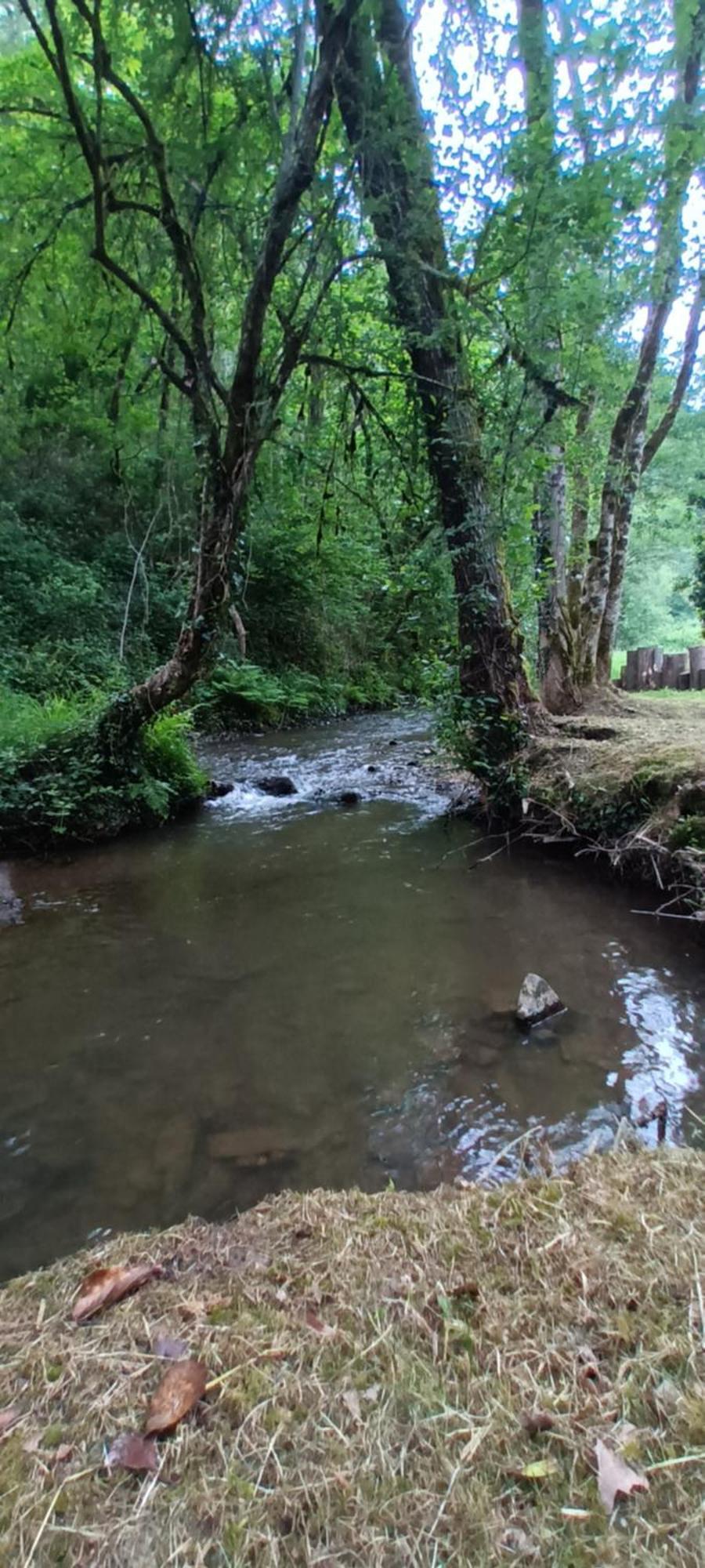 Domaine Le Mayne Chabrignac Esterno foto